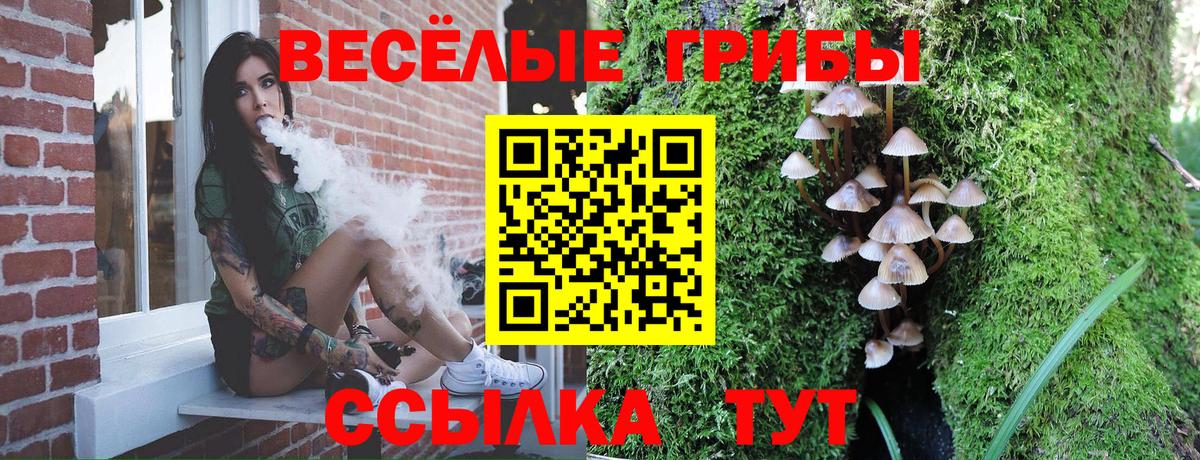 Галлюциногенные грибы ЛСД  Вход с VPN  Псилоцибиновые грибы Psilocybine cubensis  Изобильный 